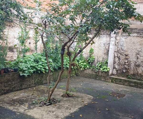 Casa para alugar com 140 m² - 3 quartos