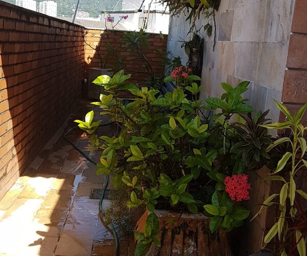 Cobertura à venda em Laranjeiras com 421 m² - 4 quartos