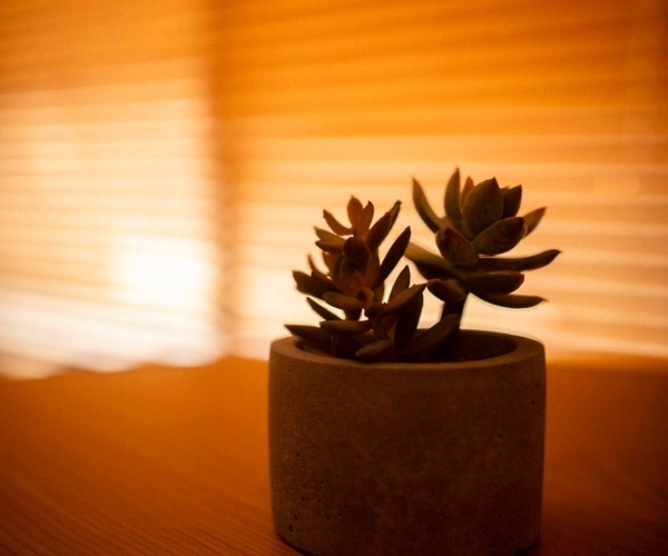 Apartamento à venda na Tijuca com 92,88 m² - 3 quartos