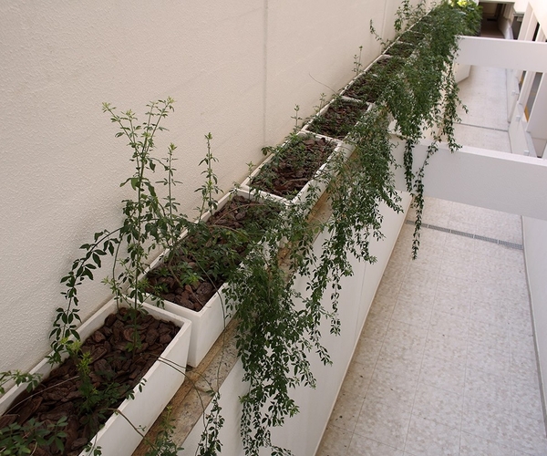 Apartamento no Pechincha com 55 m², 2 quartos